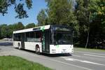 Stadtverkehr Schwarzenberg / Stadtbus Schwarzenberg / Bus Erzgebirge: MAN NL (ASZ-BV 57) der RVE (Regionalverkehr Erzgebirge GmbH), aufgenommen im August 2023 im Stadtgebiet von Schwarzenberg /