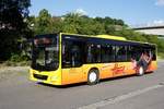 Bus Aue / Bus Erzgebirge: MAN Lion's City  der Fahrschule Herrl (Verkehrsbildungszentrum Erzgebirge), aufgenommen im Juni 2020 am Bahnhof von Aue (Sachsen).