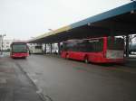 Zwei DB Stadtverkehr Busse in Sinsheim Hbf.