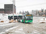 Graz. Am Vormittag des 02.12.2023 hat es in der steirischen Hauptstadt ordentlich geschneit – Wagen 31 der Graz Linien ist hier als Linie E5 in Puntigam zu sehen.