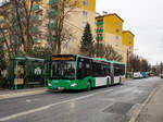 Graz. Mit 08.01.2024, wurde die Linie 66 teilweise auf Gelenkbusse umgestellt. Das Foto zeigt Wagen 186 bei der Harmsdorfgasse.