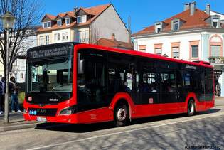 MAN Lion's City 12 Hybrid  Sdwestbus , Offenburg Mrz 2025 