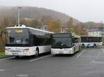 Setra 418 LE Business und MAN Lion's City der VVR in Sassnitz am 31.10.2023