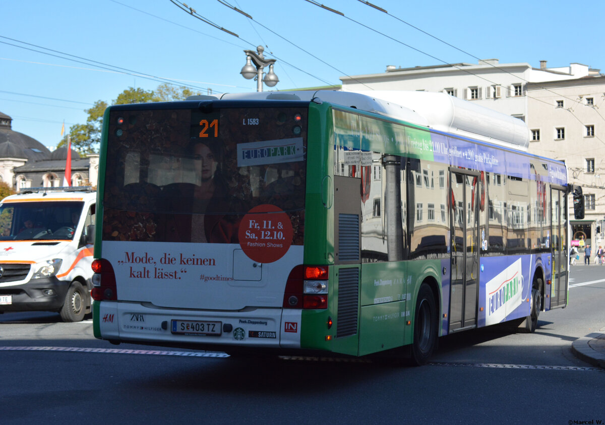 14.10.2019 | Österreich - Salzburg | S 403 TZ | MAN Lion's City CNG |