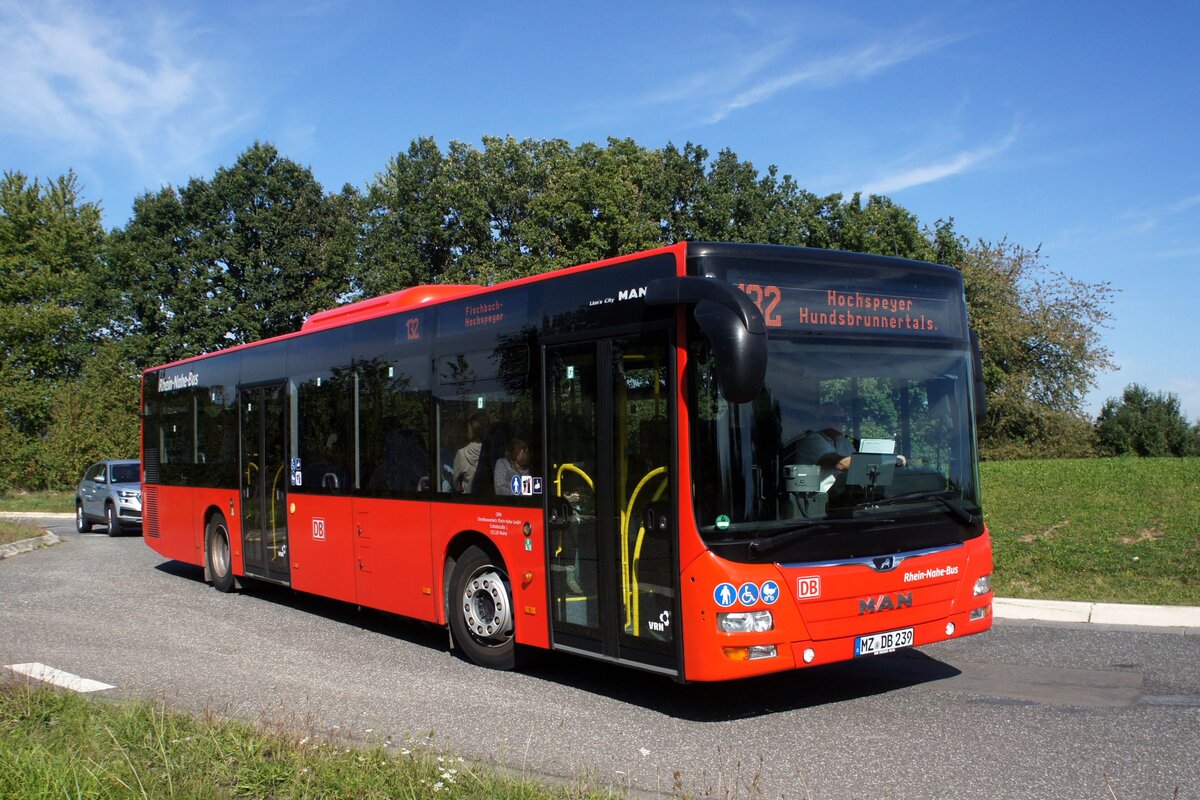 Bus Rheinland-Pfalz / Verkehrsverbund Rhein-Neckar: MAN Lion's City (MZ-DB 239) vom Omnibusverkehr Rhein-Nahe GmbH / ORN (Rhein-Nahe-Bus), aufgenommen Ende September 2023 in Sembach, einer Ortsgemeinde im Landkreis Kaiserslautern. 