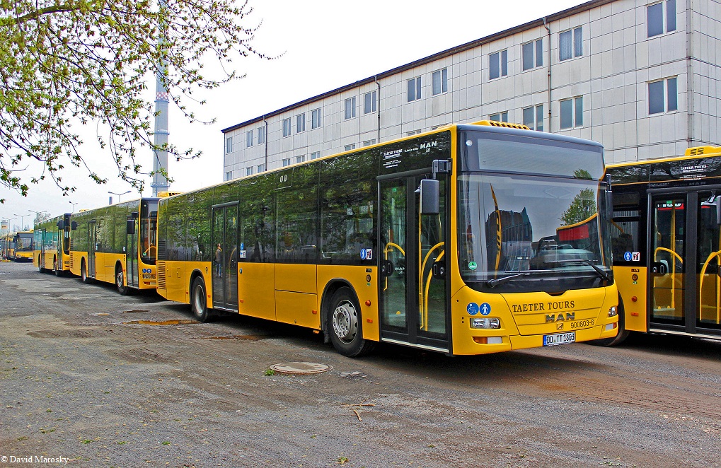 Dresden, Tiergartenstraße