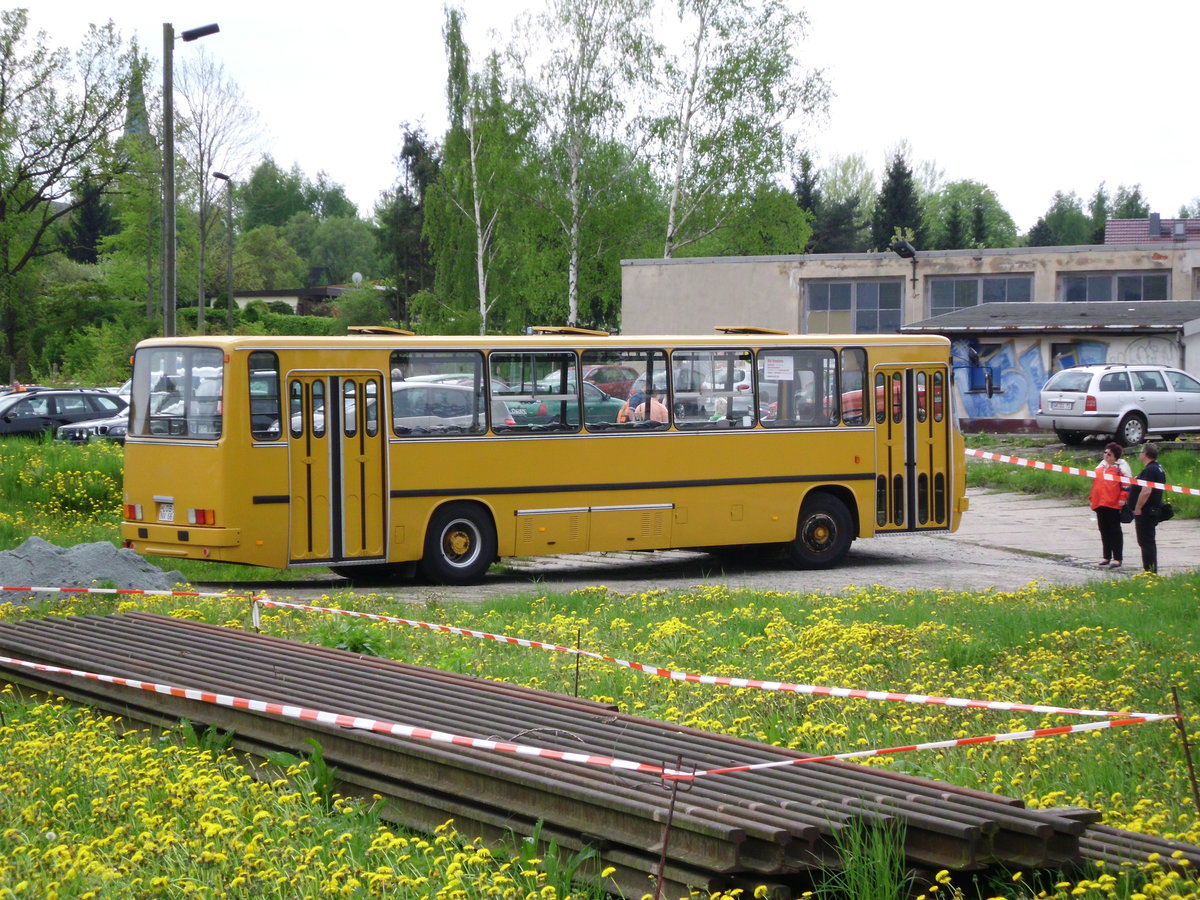 Ikarus am 11.05.2013 in Löbau