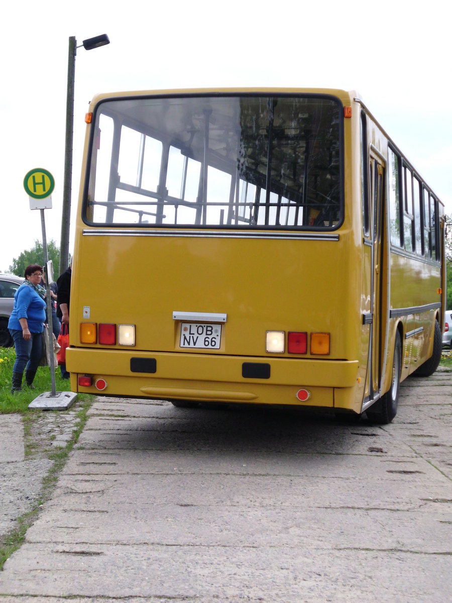 Ikarus am 11.05.2013 in Löbau