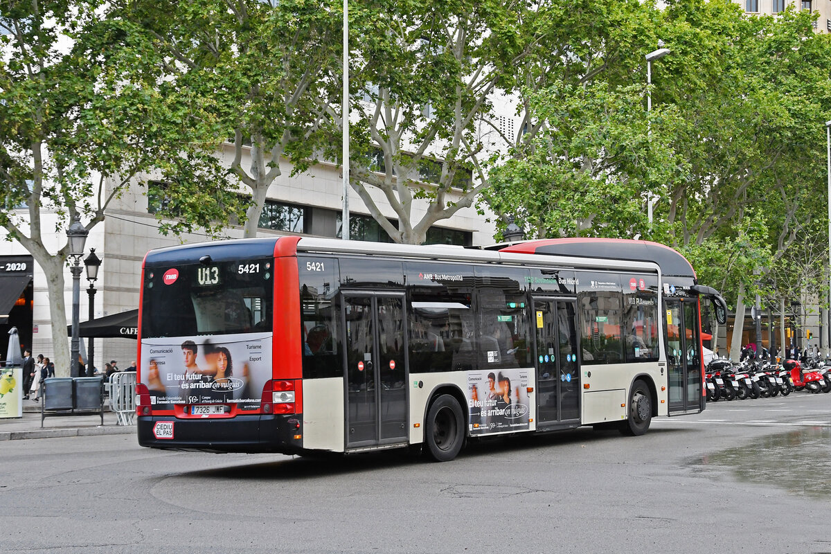 MAN Lions City Hybridbus 5421der TMB, auf der Linie V13, ist am 15.05.2024 in Barcelona unterwegs.