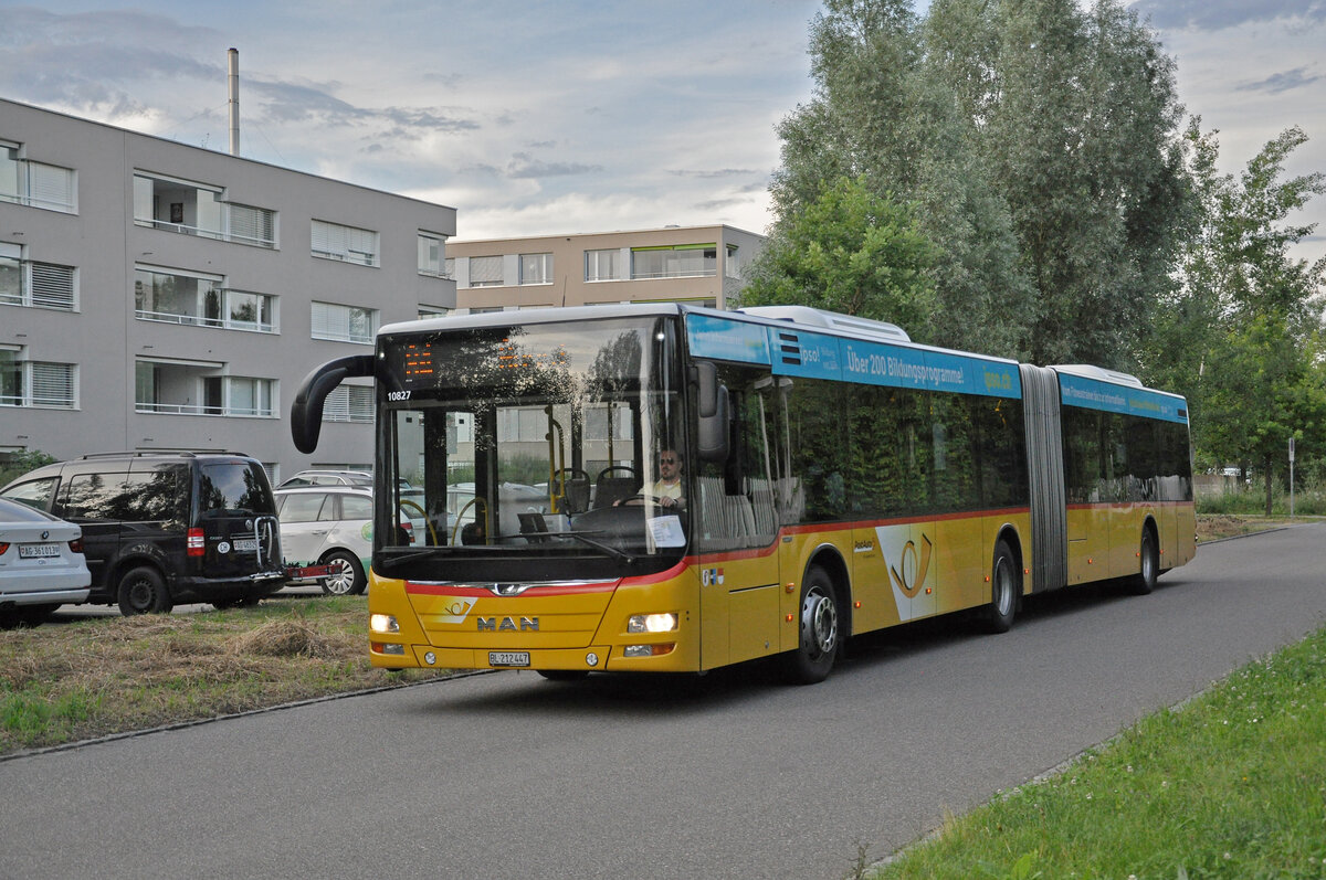 MAN Lions City der Post, auf der Linie 84, fährt am 18.06.2024 durch den Asphofweg in Kaiseraugst.