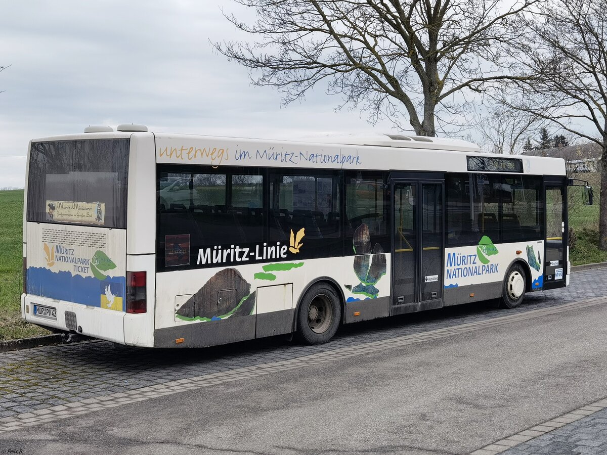 MAN Niederflurbus 2. Generation/Göppel der MVVG in Malchow am 30.03.2023