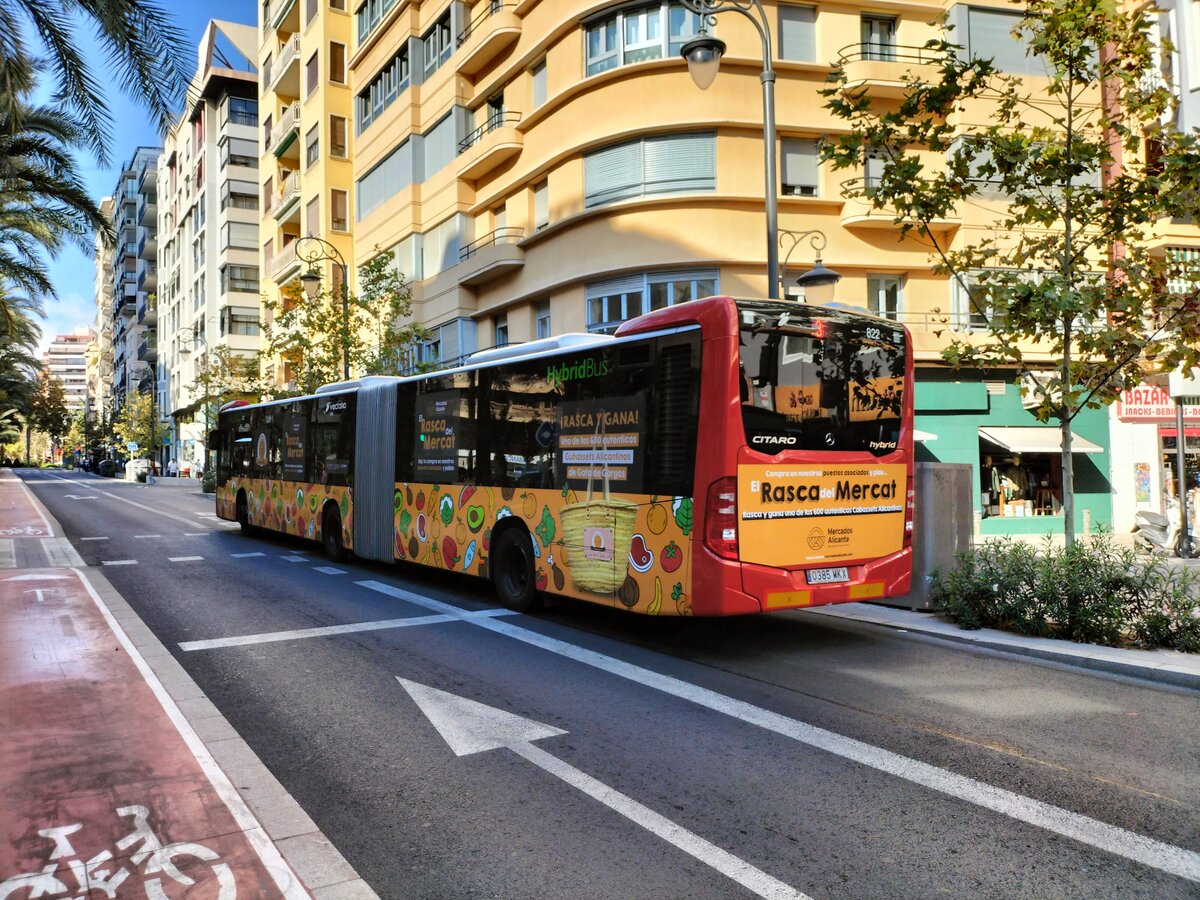 Mercedes-Benz Citaro C2 G, Vectalia Mia, Wagen 822, unterwegs in der Avenida Federico Soto als Linie 3 in Alicante am 21.10.2024. Der Gelenkbus wirbt für die Markthallen in Alicante. Bis zu 600 echte geflochtenen Einkaufstaschen aus Alicante, hier  Cabasset  benannt, werden an den Kunden verschenkt.