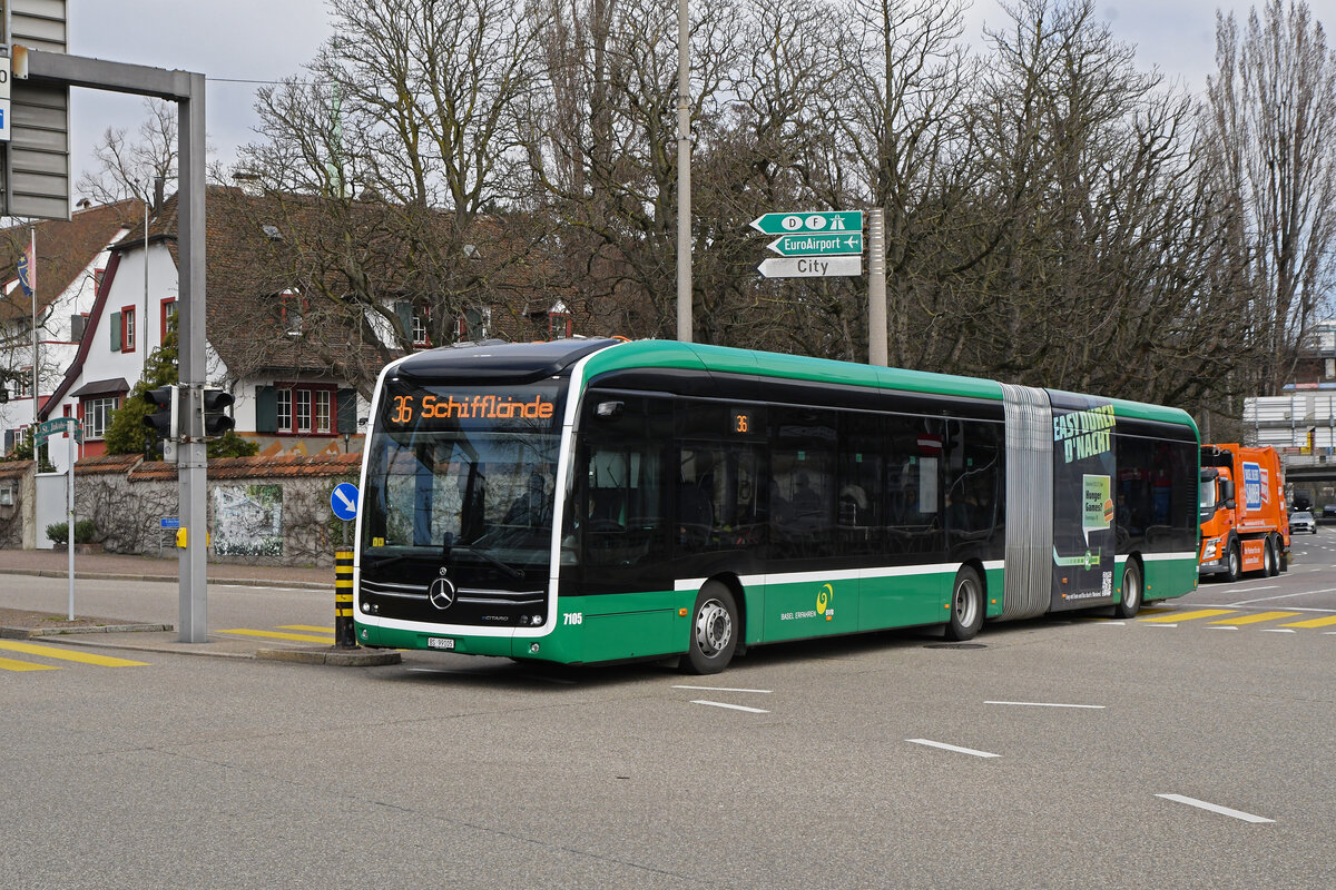 Mercedes eCitaro 7105, auf der Linie 36, fährt am 08.03.2024 zur Haltestelle St. Jakob. Aufnahme Basel.