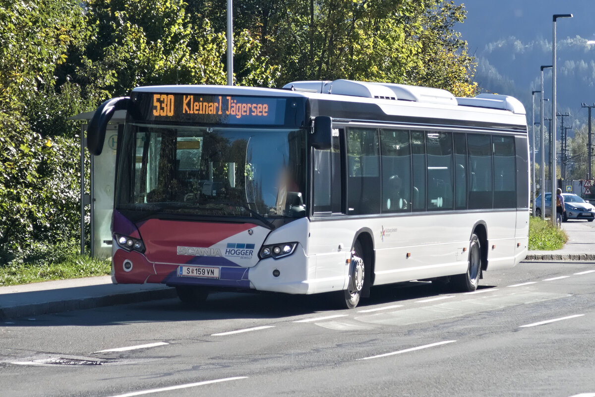 Scania Citywide von Hogger (S-159VN) als Linie 530 bei der Haltestelle St. Johann im Pongau Bahnhof. Aufgenommen 7.10.2024.