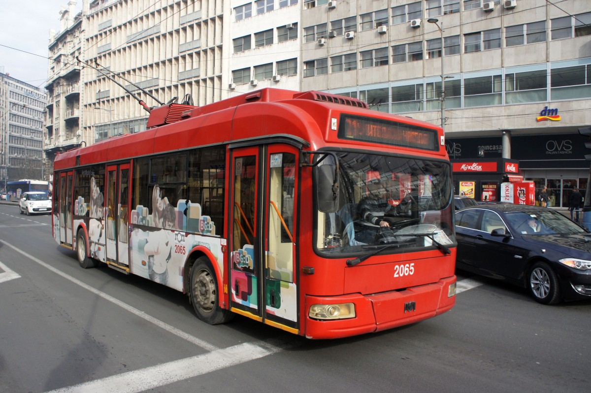 belgrade tourist bus
