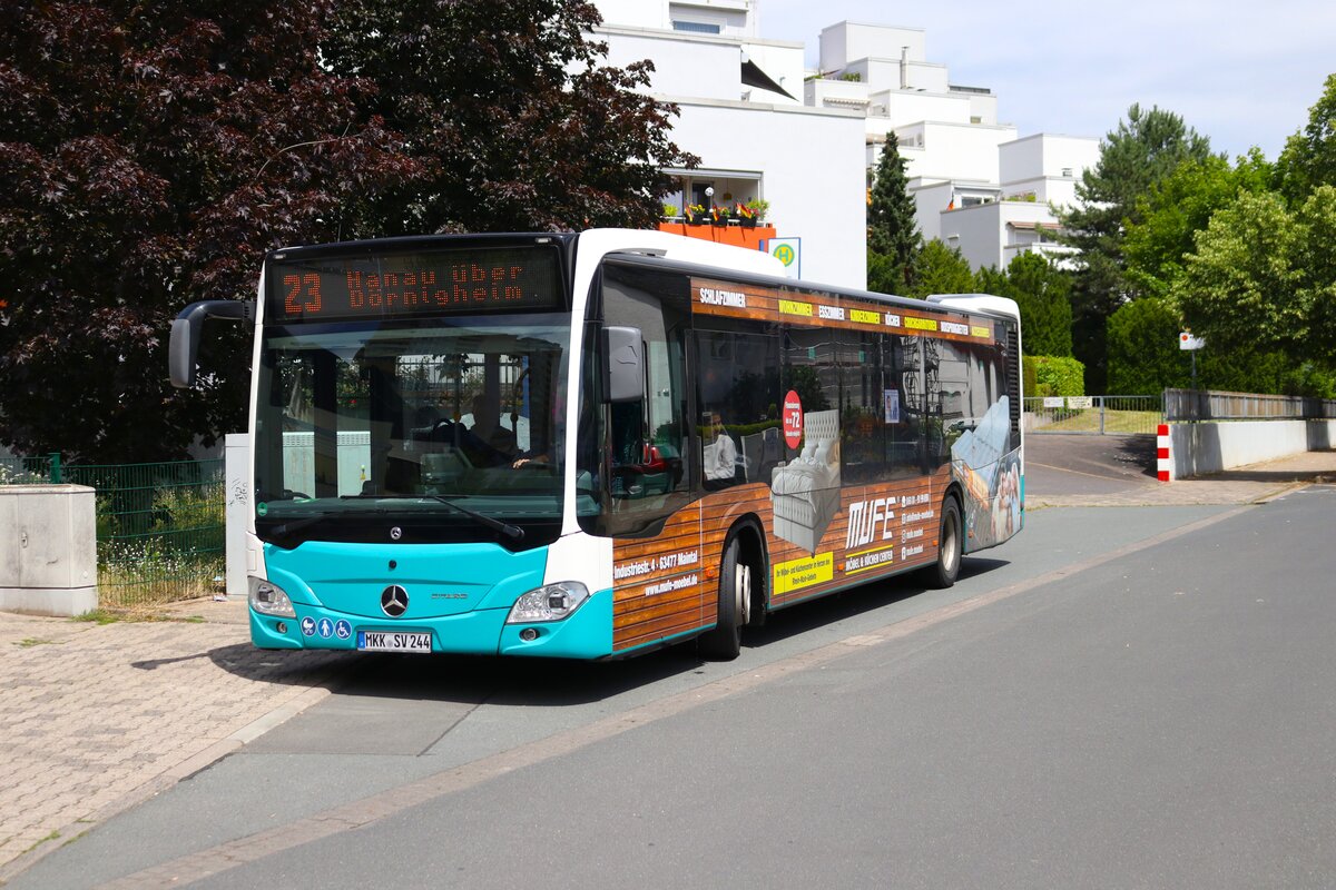 Stadtverkehr Maintal Mercedes Benz Citaro C2 am 05.07.24 in Bischofsheim