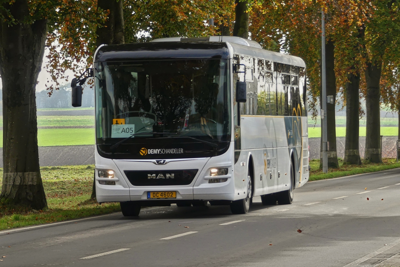 DC 4602, MAN Lion's Intercity, von Demy Cars, als Schulbus in der Gemeinde Wincrange unterwegs nahe der Féitsch. 10.2024