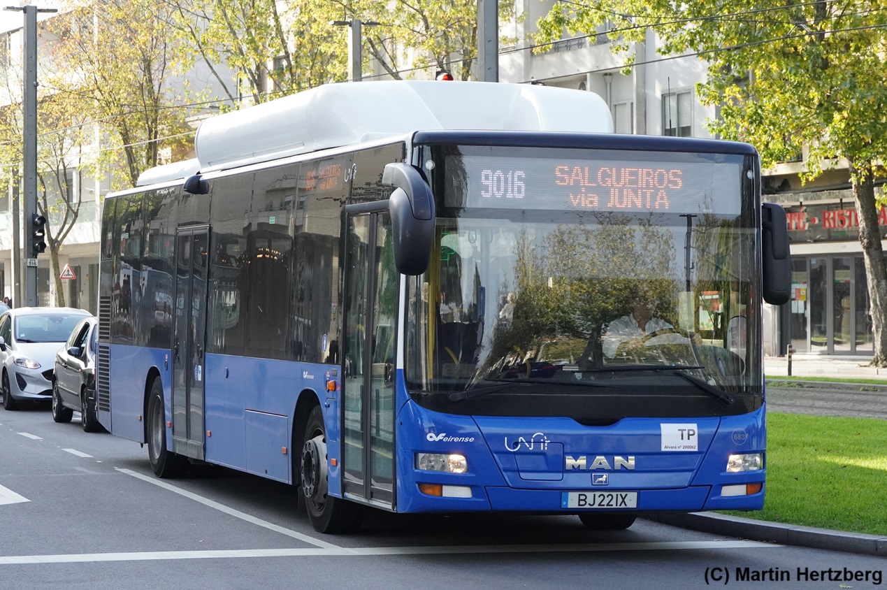 MAN Lion's City CNG  Feirense , Port/Gaia (Portugal) November 2024