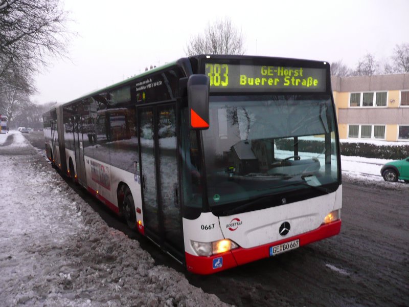 08.01.09,MB-Citaro der Bogestra Nr.0667 in Gelsenkirchen-Hllen.