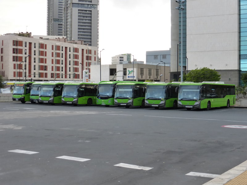 11.01.17 Busbahnhof in Santa Cruz de Tenerife. Bus bild.de