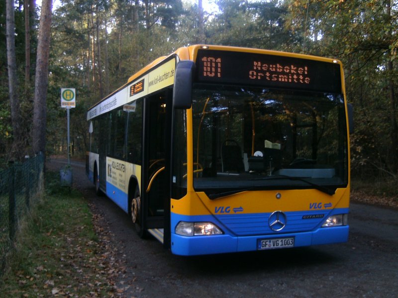 Der 1003 der VLG Gifhorn