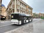 Solaris Urbino 12 IV Hybrid, Avanza Elche, Wagen 228, verlässt die Haltestelle Museo Arqueologico als Linie M in Elche am 07.10.2024