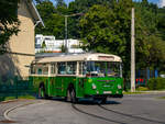 Graz. Das Tramway Museum Graz lud am 14.07.2024 zu einem Tag der offenen Tür ein. eingerichtet wurde ein Oldtimer-Shuttleverkehr, der Wagen 65 ist hierfür extra aus Leoben-Umgebung angereist, wo er liebevoll restauriert wurde.