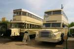 Ein Do 54, der 1956 im Waggonbau Bautzen gefertigt wurde und ein Bssing D2 aus dem Jahr 1934. Beide busse gehren zum Bestand des Denkmalplege-Verein Nahverkehr Berlin e.V. Bei der BVG hatten sie die Wagen Nr. 698 und 929; Werdau, 05.05.2007