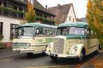 Europäisches Oldtimerbustreffen im Elsass Oktober 2024