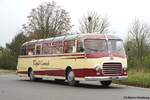 Oldtimer Setra S 11 Bj. 1959 Rapid Canach Weber, Europäisches Oldtimerbustreffen im Elsass Oktober 2024