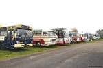 Europäisches Oldtimerbustreffen im Elsass Oktober 2024