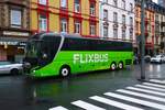 Flixbus MAN Lions Coach am 07.12.24 in Frankfurt am Main Hbf