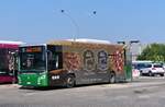 Bereit zur Abfahrt Richtung Via Colle Innamorati steht der BredaMenarinibus Avancity mit dem Kennzeichen BW894BD am 23.08.2024 am Busterminal vor dem Bahnhof Pescara Centrale. An Werktagen verkehrt die Linie 5 im 15- bis 20-Minuten-Takt im Rundkurs zwischen dem Hauptbahnhof und den  Hügeln der Verliebten  und bindet dabei auch das Krankenhaus der abruzessischen Stadt an den zentralen Knotenpunkt an. Der Bus trägt eine Vollwerbung für eine Metzgerei und das zugehörige Grillrestaurant, wodurch den Fahrgästen wohl keine allzu gute Aussicht vergönnt ist.