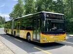 MAN Lion's City G Nr. 7 '10697'  BE 78878  vom PU SteinerBus, Ortschwaben am 19.5.22 auf der Eymattstrasse zwischen Bethlehem und Hinterkappellen.