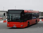 MAN Stadtbus als Shuttlebus des Hafens Rostock am 05.11.2024