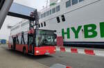 MAN Stadtbus als Shuttlebus des Hafens Rostock am 06.11.2024