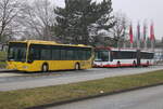 Mercedes-Benz O 530 I(Citaro)inklusiver neuer Verbindung nach S-Bhf Ahrensfelde am 21.02.2025 in Höhe Rostock Hbf. 