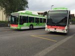 Citaro CNG Nr. 25 mit Vollwerbung für Erdgas, am 18.5.2016 beim Bhf Süd am warten und wird vom Citaro Nr. 21 überholt.