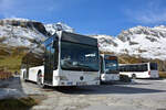 11.10.2019 | Österreich - Kaprun | BD 13982 + BD 13985 | Mercedes Benz Citaro I Facelift |