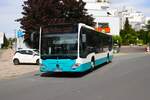 Stadtverkehr Maintal Mercedes Benz Citaro C2 am 05.07.24 in Bischofsheim