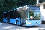 Mercedes Citaro C2  Trischan , Dörrenbach August 2024 