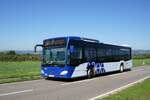 Bus Rheinland-Pfalz / Rhein-Nahe Nahverkehrsverbund (RNN): Mercedes-Benz Citaro C2 (SIM-SR 142) von Scherer Reisen, aufgenommen im September 2023 im Stadtgebiet von Gau-Algesheim, einer Stadt im Landkreis Mainz-Bingen in Rheinland-Pfalz.
