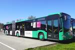 Mercedes Citaro C2 G  Wöhrle  für SEV, ehem.