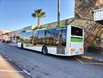 Heckansicht des Castrosua Magnus H LE 13 Hybrid mit der Wagennummer 310 am Busbahnhof in Elche am 11.02.2025