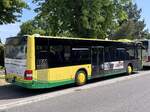 MAN Lion's City der Verkehrsgesellschaft Ludwigslust-Parchim mbH in Plau am See am 06.06.2023