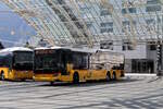 Postauto/Regie Chur GR 85630/PAG-ID: 12107 (Scania CityWide LE NBA 14.8) am 8.8.2024 beim Bhf.