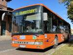 Setra 315 NF der MVVG in Plau am See am 18.10.2023