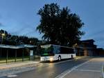 Setra 416 NF der MVVG in Plau am See am 26.09.2023