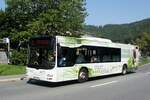 Bus Schwarzenberg / Bus Erzgebirge: MAN Lion's City Ü (ERZ-VB 743) der RVE (Regionalverkehr Erzgebirge GmbH), aufgenommen im August 2023 im Stadtgebiet von Schwarzenberg / Erzgebirge.