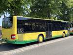 MAN Lion's City der Verkehrsgesellschaft Ludwigslust-Parchim mbH in Plau am See am 09.06.2023